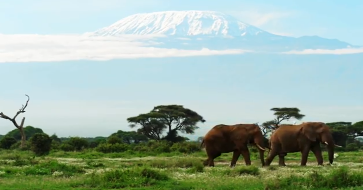 Kilimanjaro-view - 8-Day Amboseli, Lake Naivasha, Masai Mara Safari